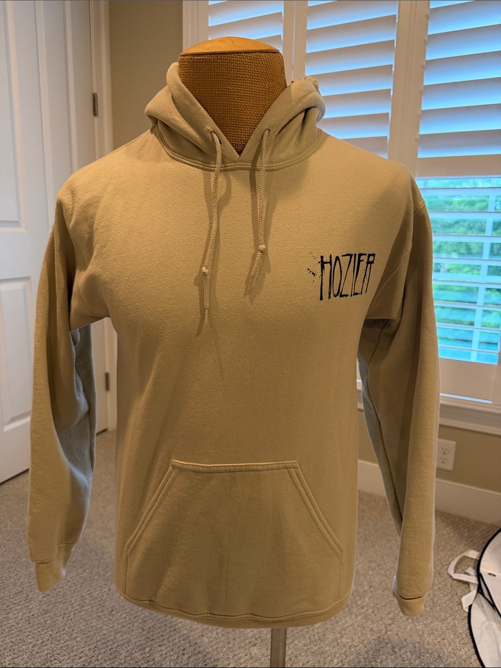 Hozier Concert hoodie, EUC, Small, 2024